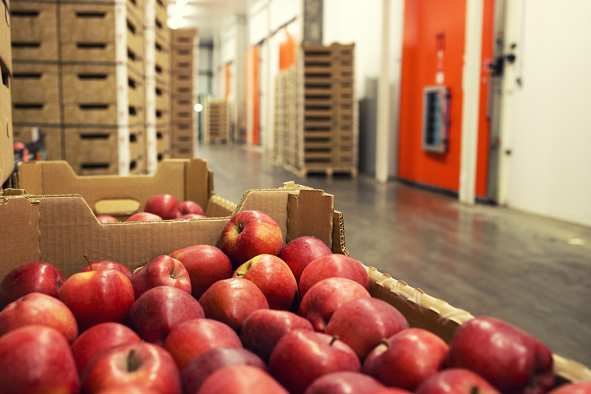 Paneles frigoríficos para la seguridad alimentaria